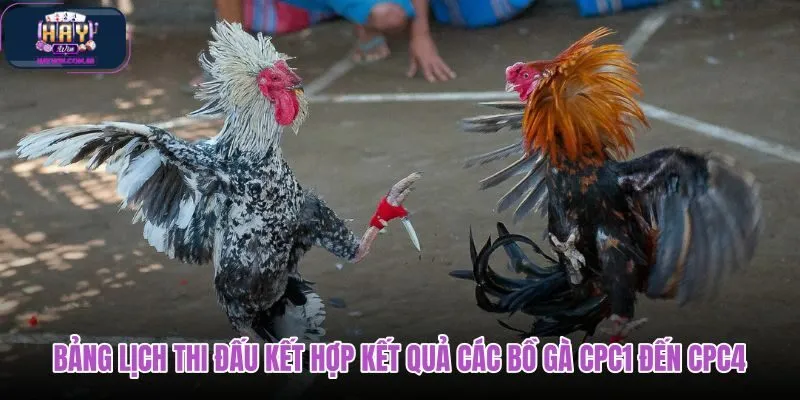 bang-lich-thi-dau-ket-hop-ket-qua-cac-bo-ga-cpc1-den-cpc4
