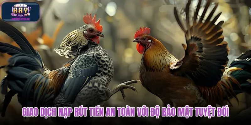 giao-dich-nap-rut-tien-an-toan-voi-do-bao-mat-tuyet-doi