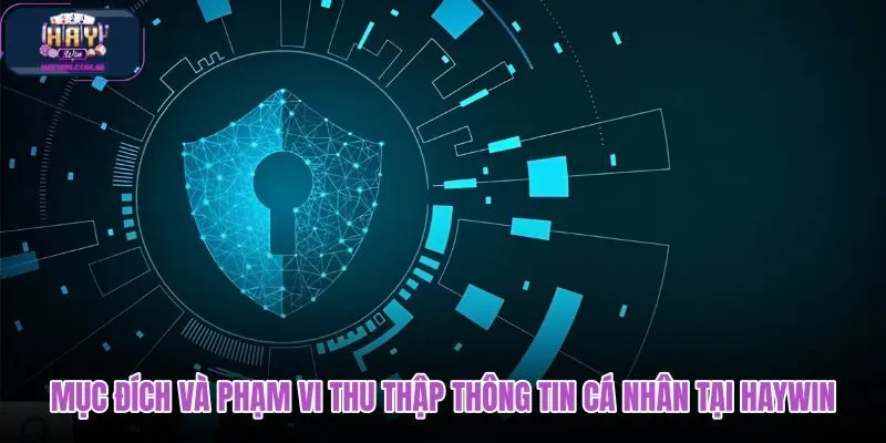 muc-dich-va-pham-vi-thu-thap-thong-tin-ca-nhan-tai-haywin